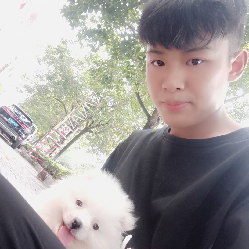 命里有时终须有。的照片