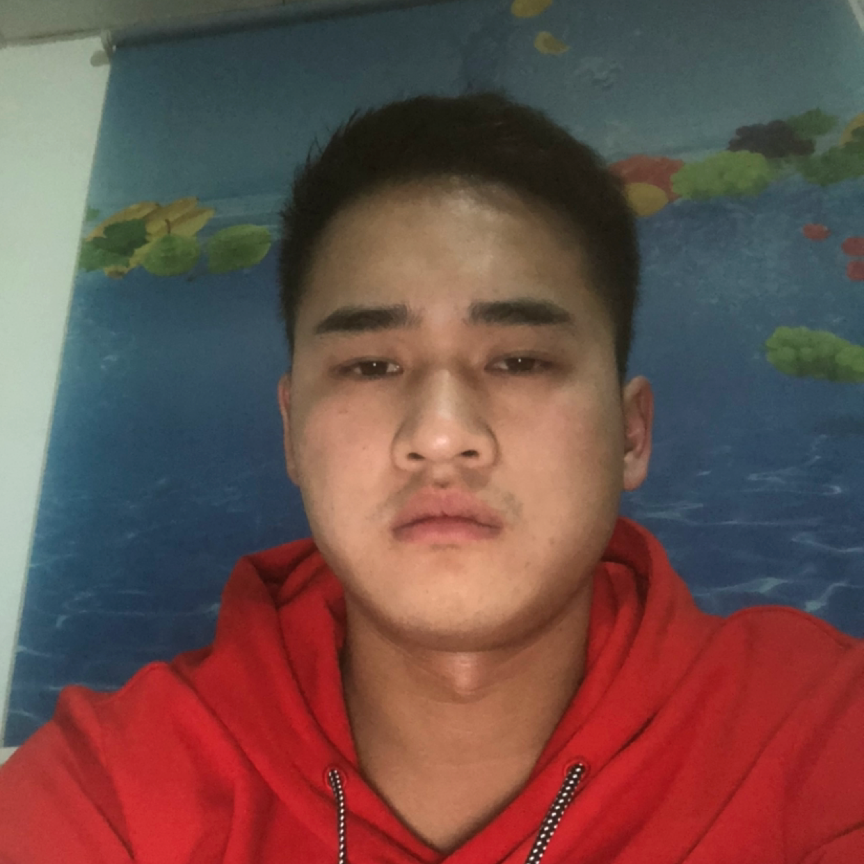 背后漫步未来的照片