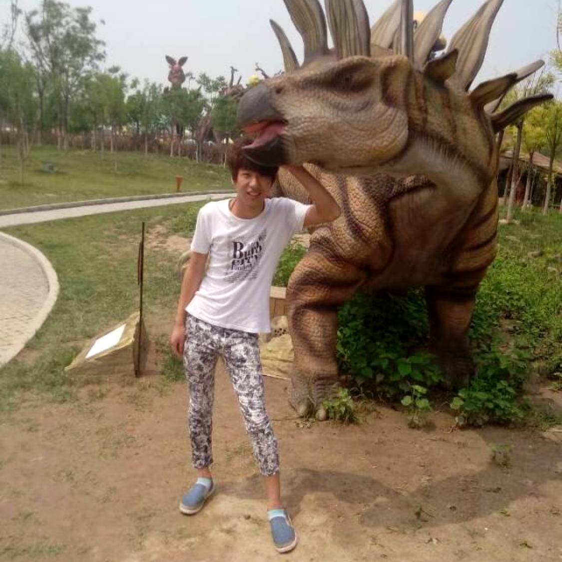细腻向红玫瑰的照片