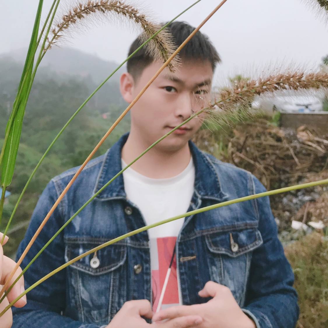 博盛的照片