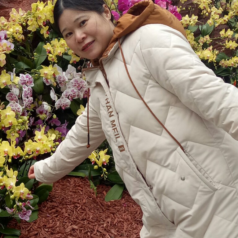 呆呆傻傻的的照片