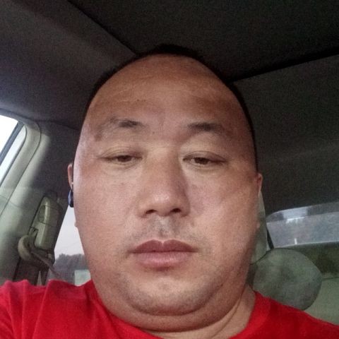 小鸽子爱恋壮观的照片