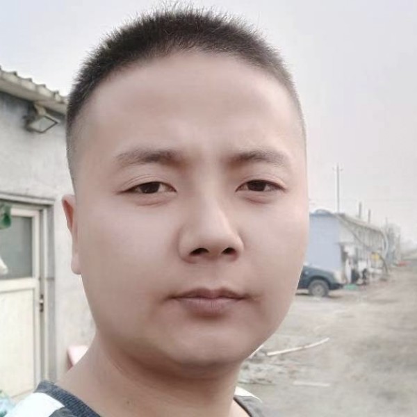 枭＆龙的照片