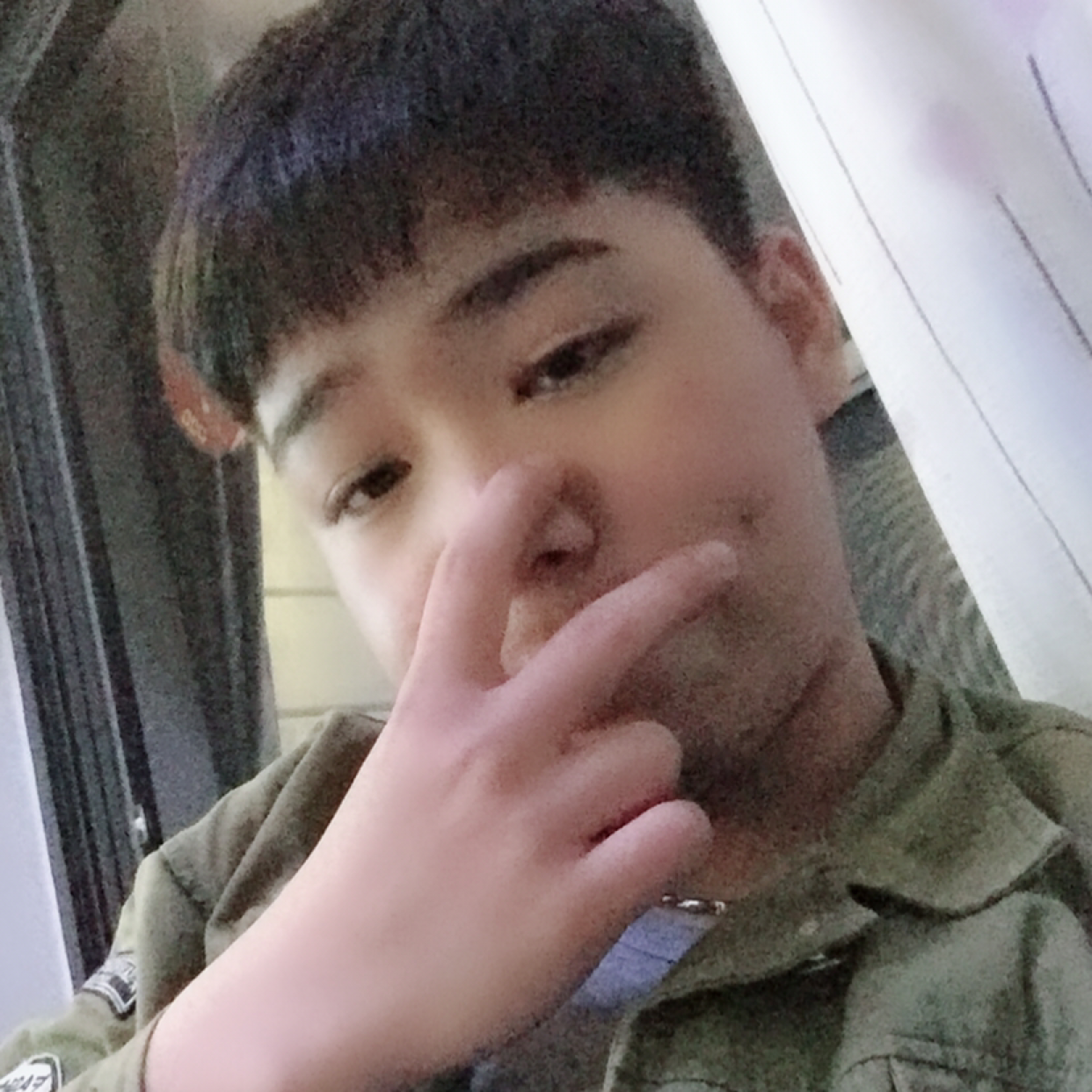 板栗停止清脆的照片