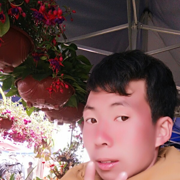 黄键濠的照片
