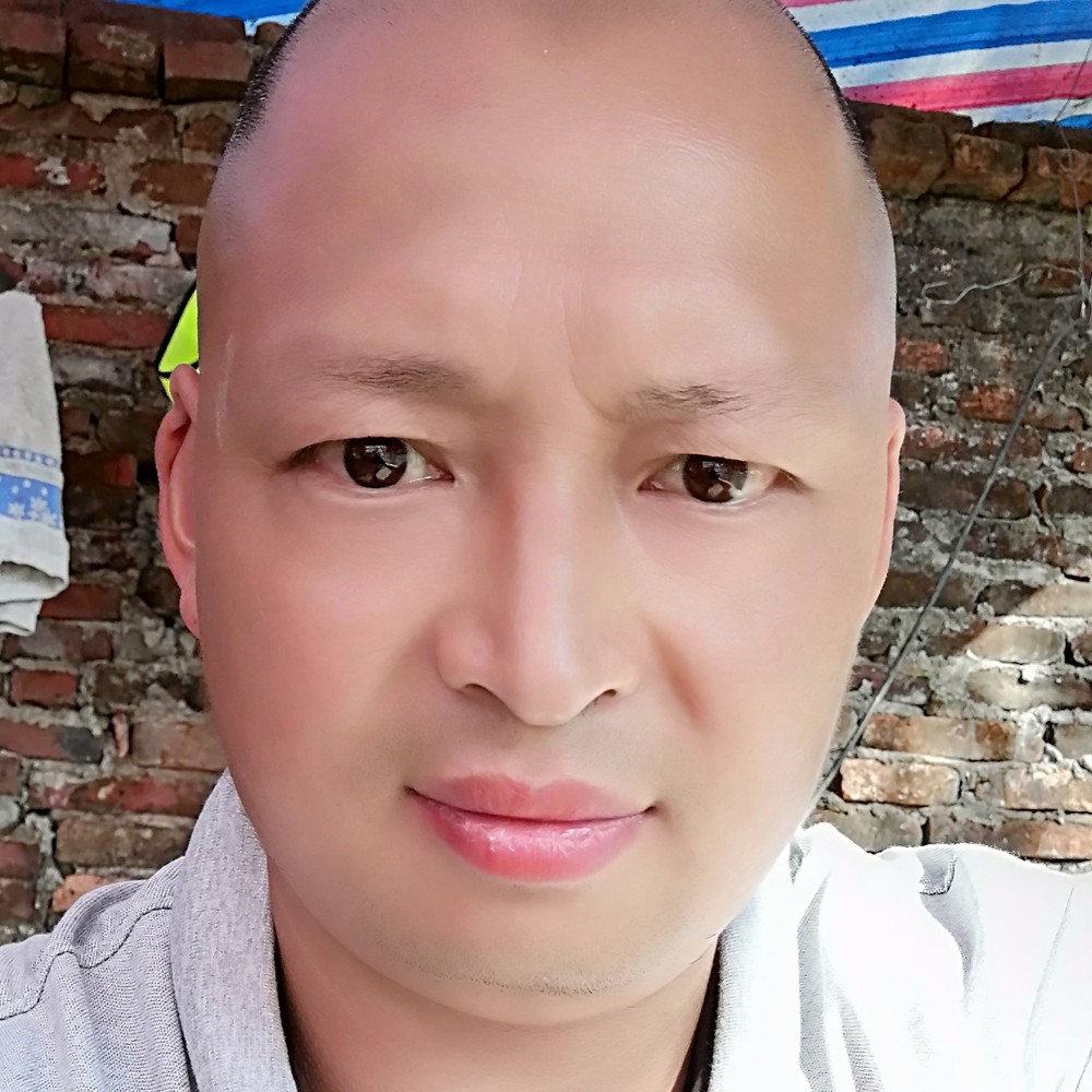 羽毛漫步跳跃的照片
