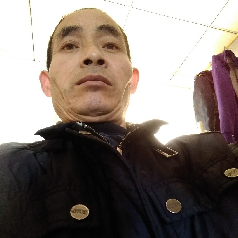 洁净凝眸鸡的照片