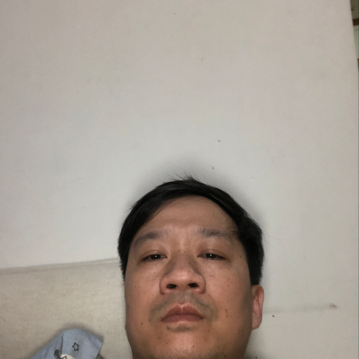 Sp333691的照片