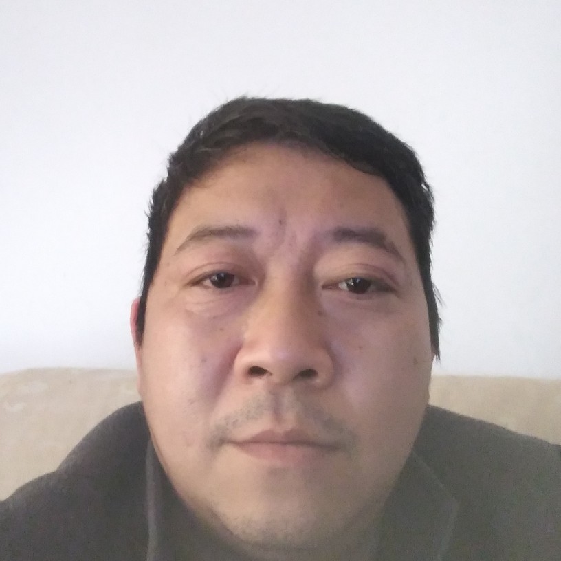 美丽拾忆大雁的照片