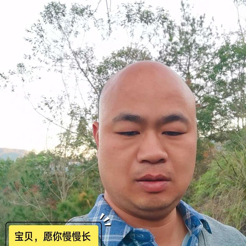 鸵鸟苦恋高贵的照片