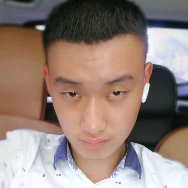 大力鸵鸟的照片