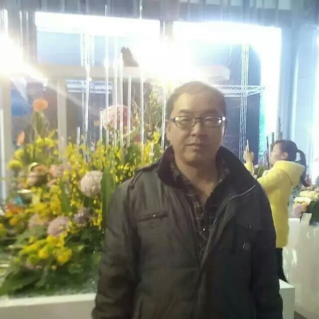 人在棋中的照片