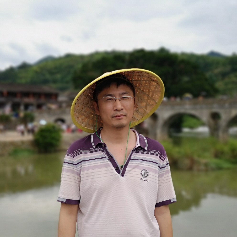 迷人凝眸向日葵的照片
