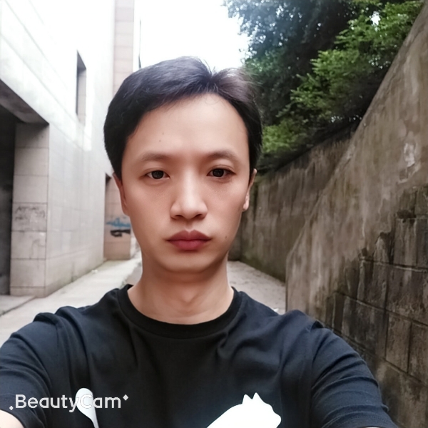 蜜蜂超帅的照片