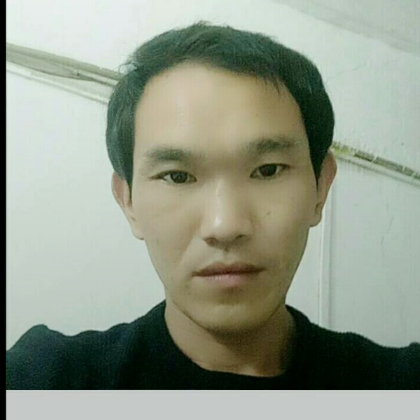 蚂蚁方平淡的照片