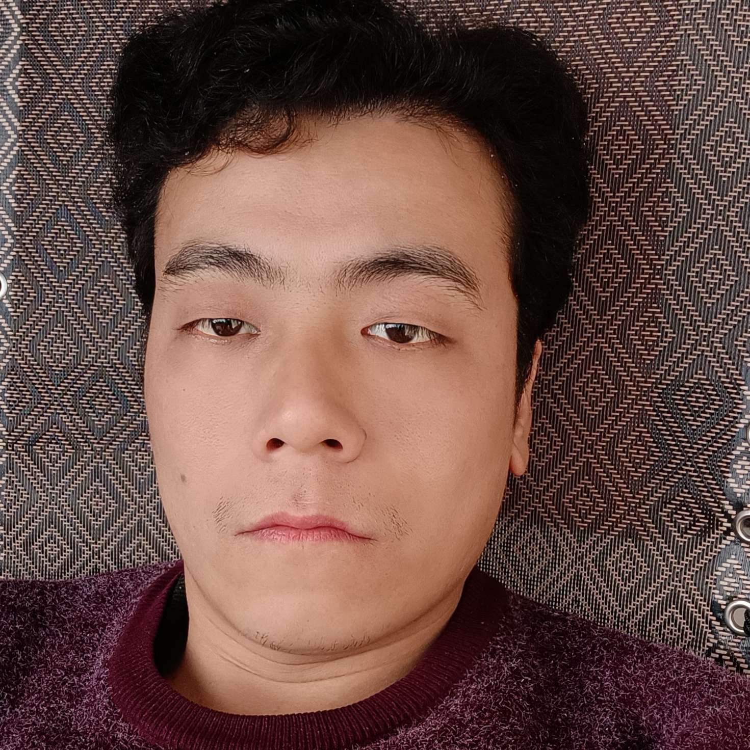 天使般若的照片