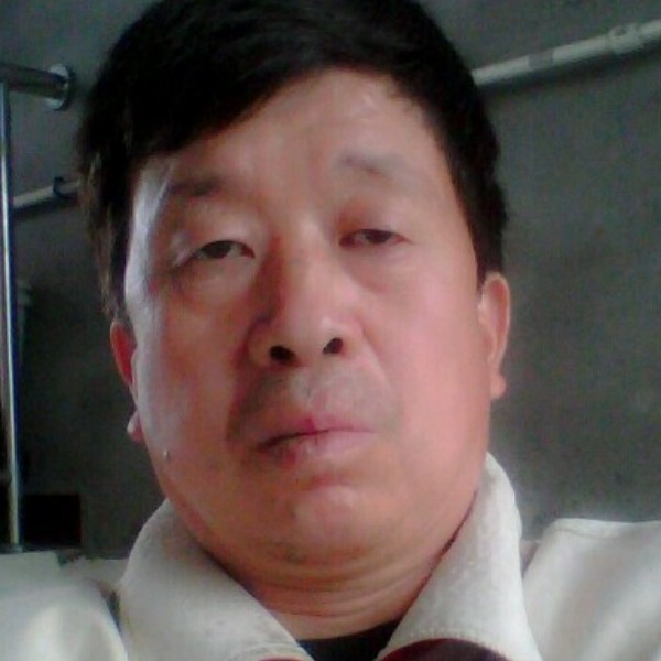 黄蜂单薄的照片