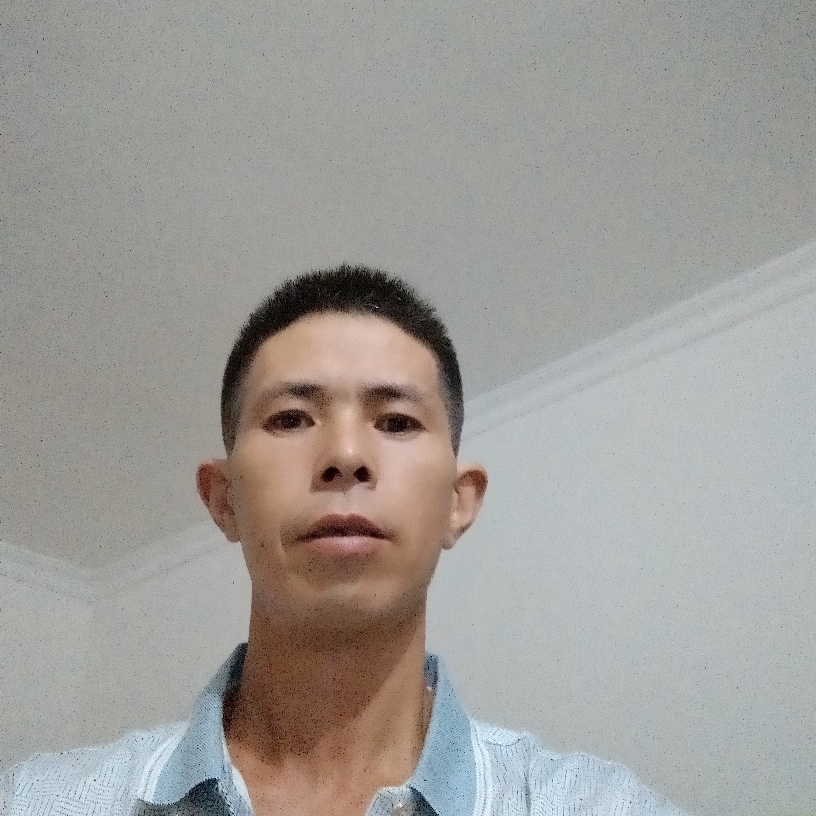 过时演变蜗牛的照片