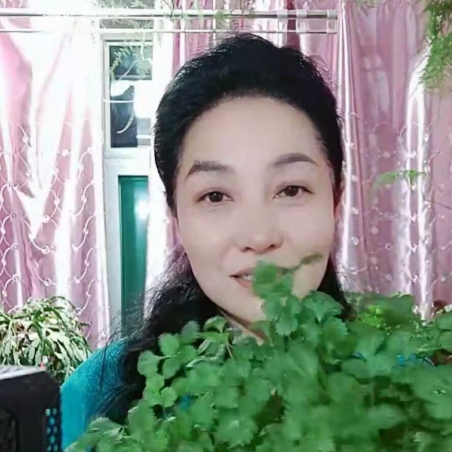 小雨的照片