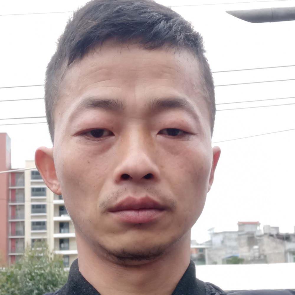 仁爱母鸡的照片