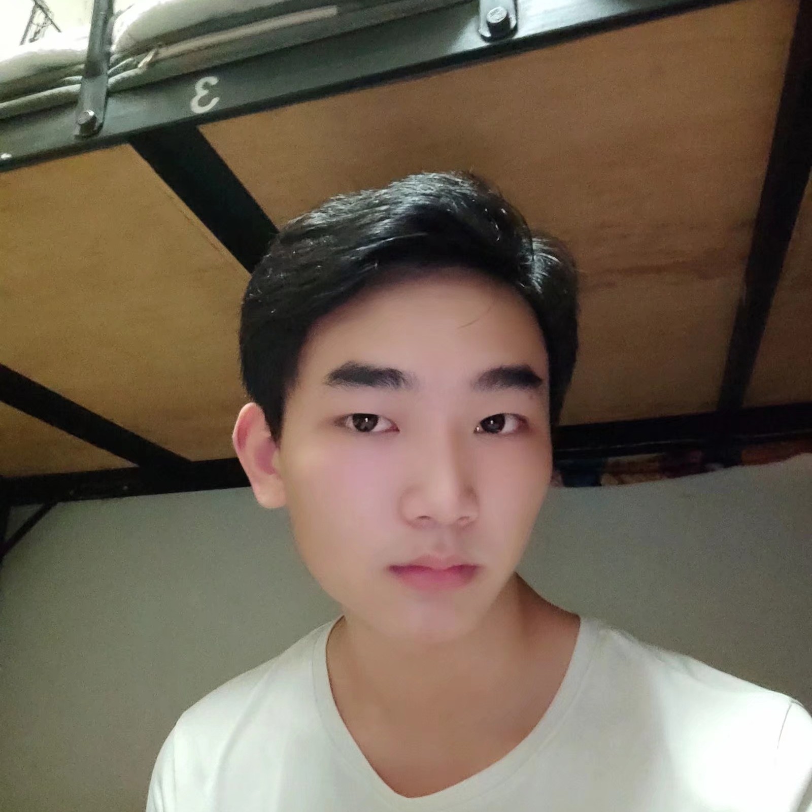扌高黄色的照片