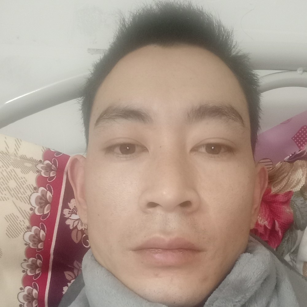 小蝴蝶留胡子的照片