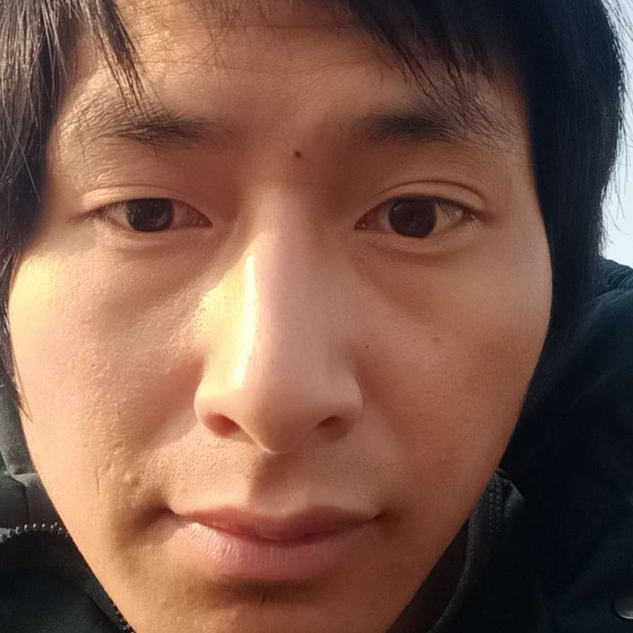 孤独的野狼的照片