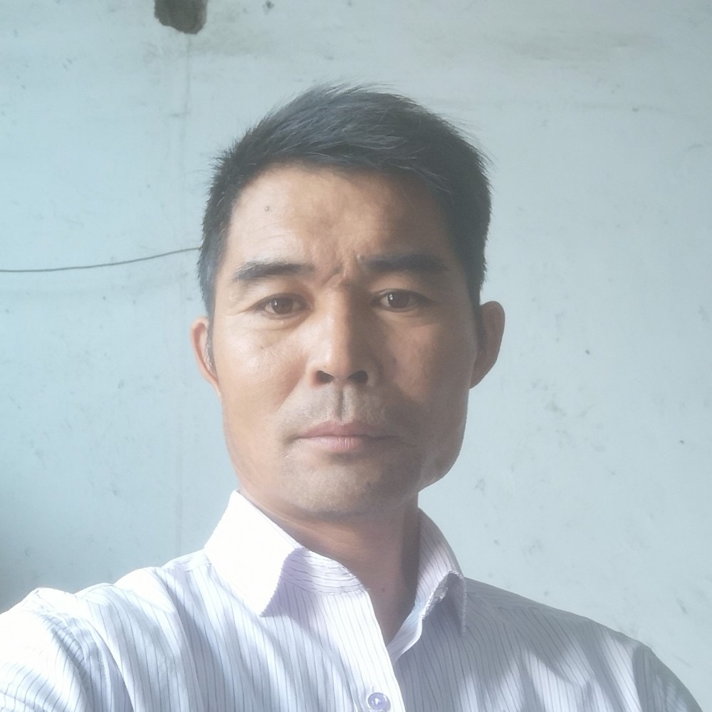 生动向彩虹的照片
