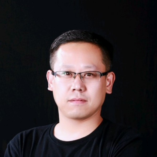小海豚优雅的照片