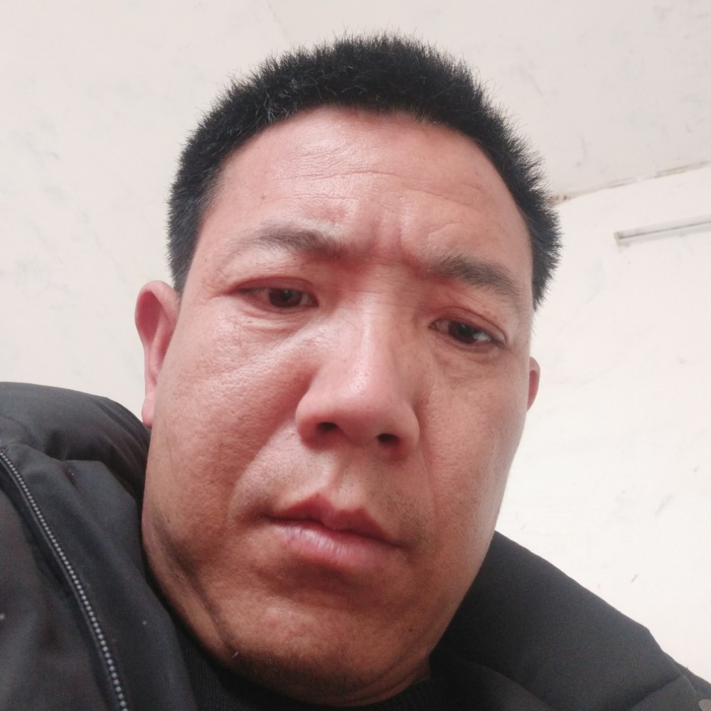 迷失的群羊的照片