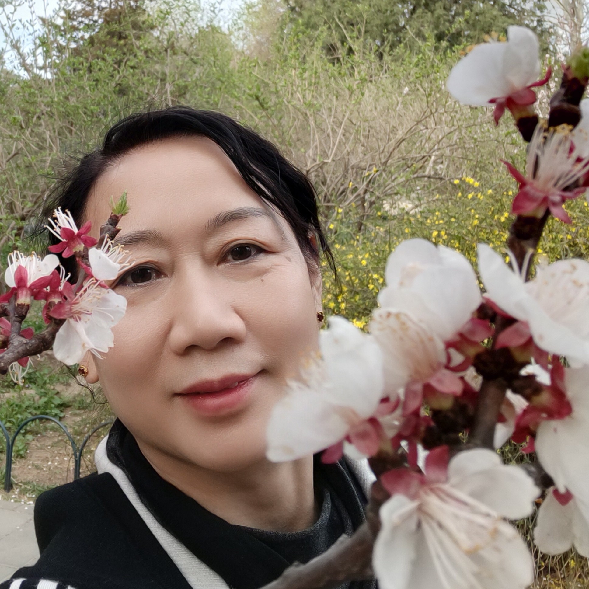 繁星自向苍穹的照片