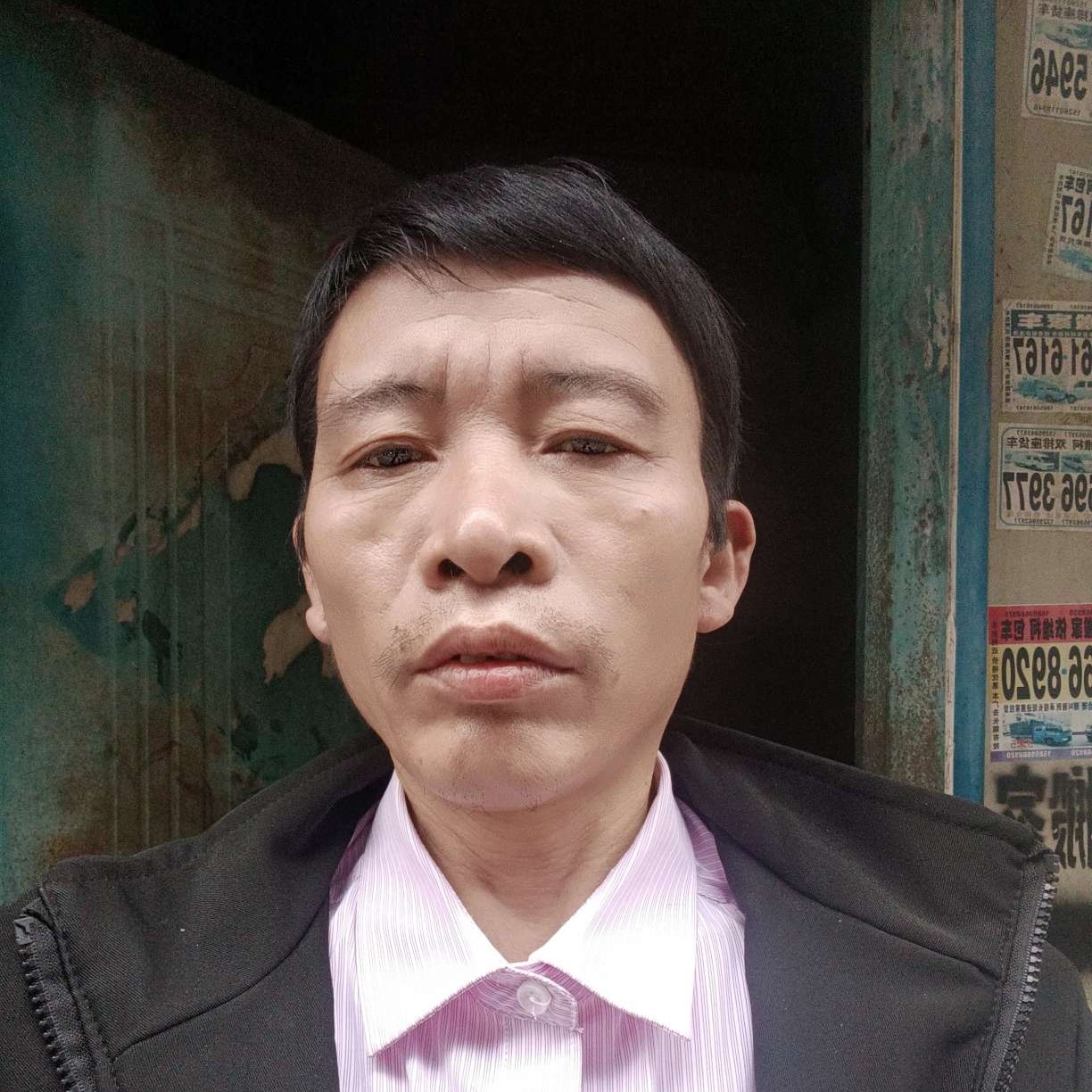 包容漫步小天鹅的照片