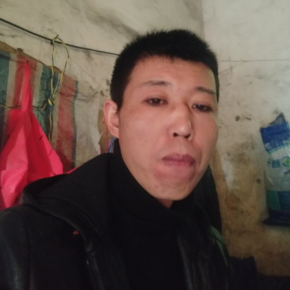 深情相许小蚂蚁的照片
