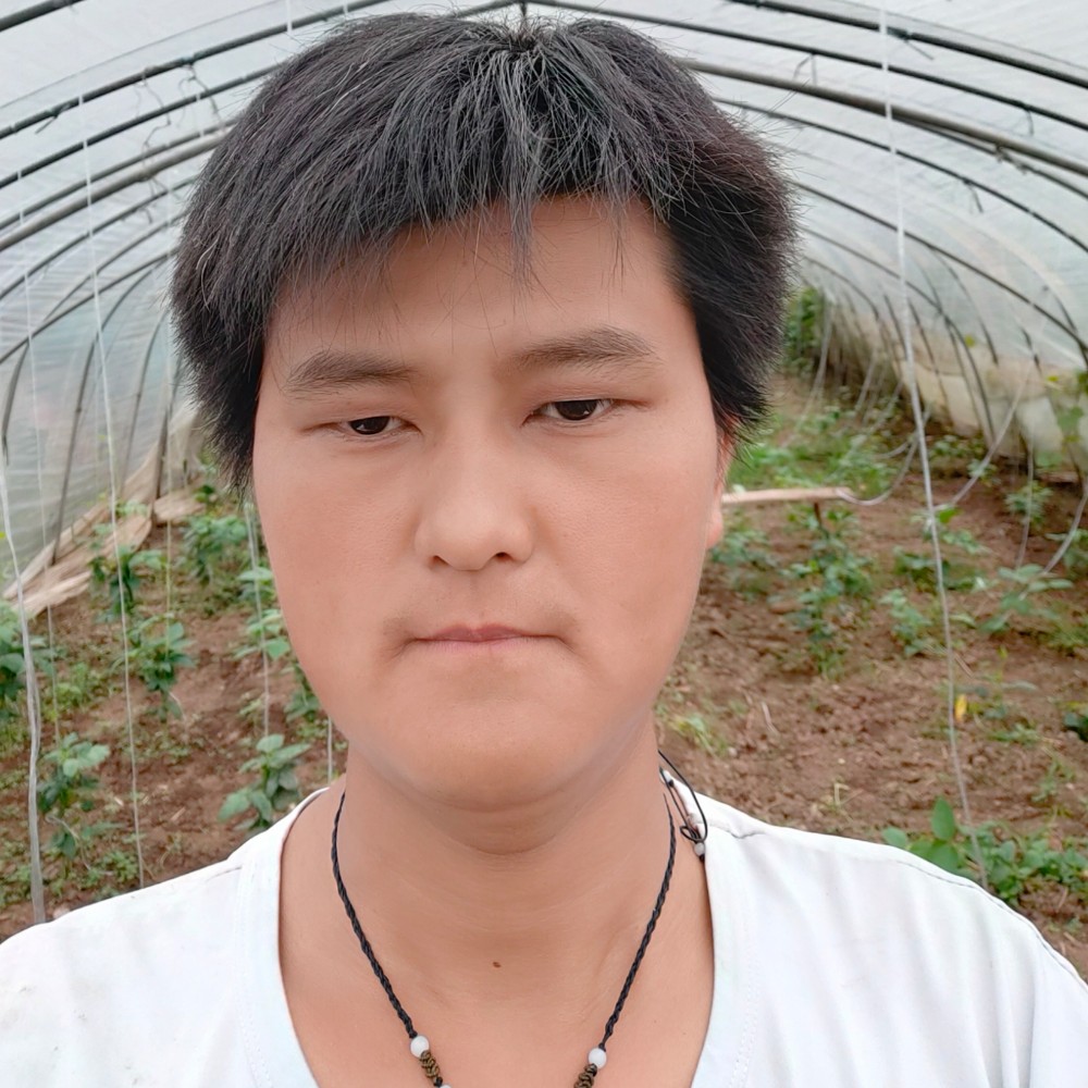 会员316618900的照片