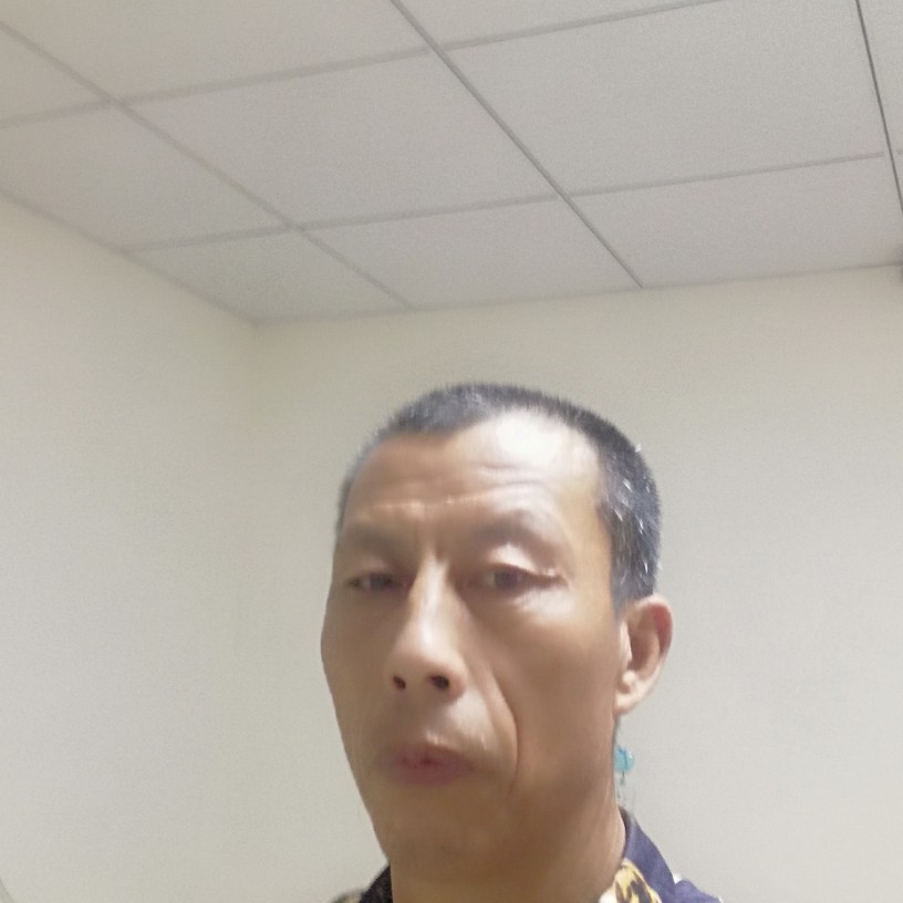 冬瓜炙热的照片