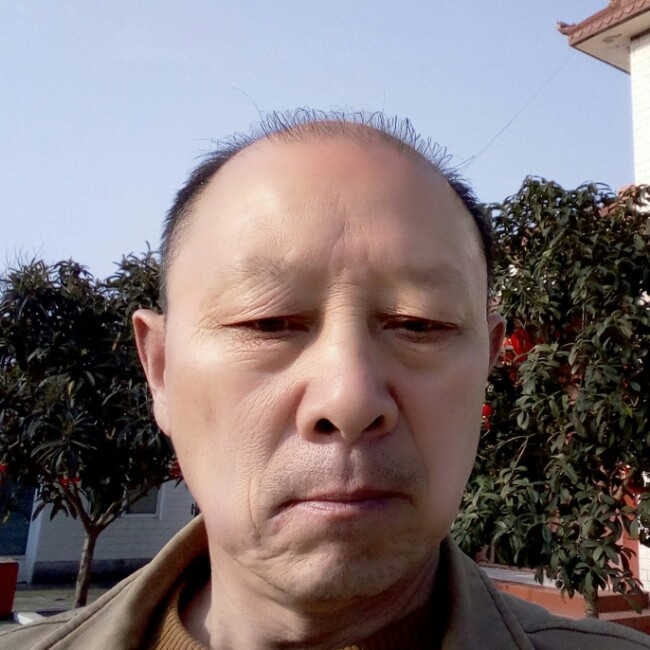 怕孤单青花的照片