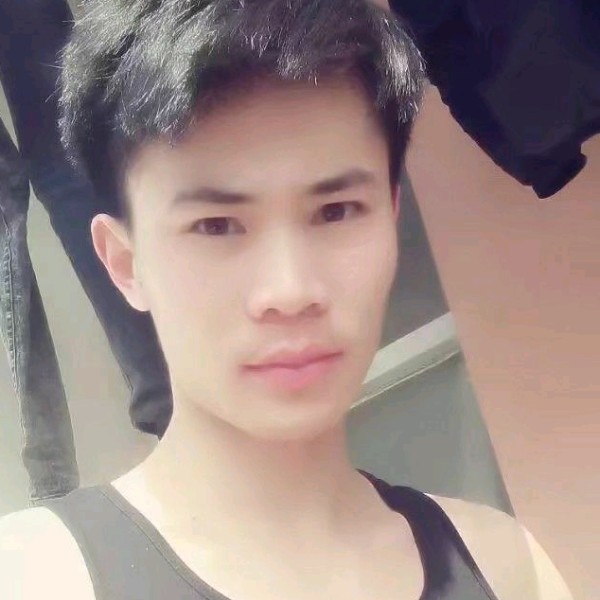 汉堡疯狂的照片