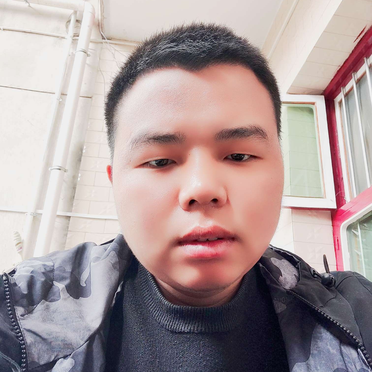奶猫1的照片
