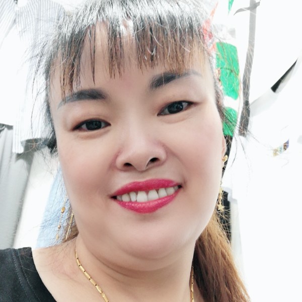 黎明燕子的照片