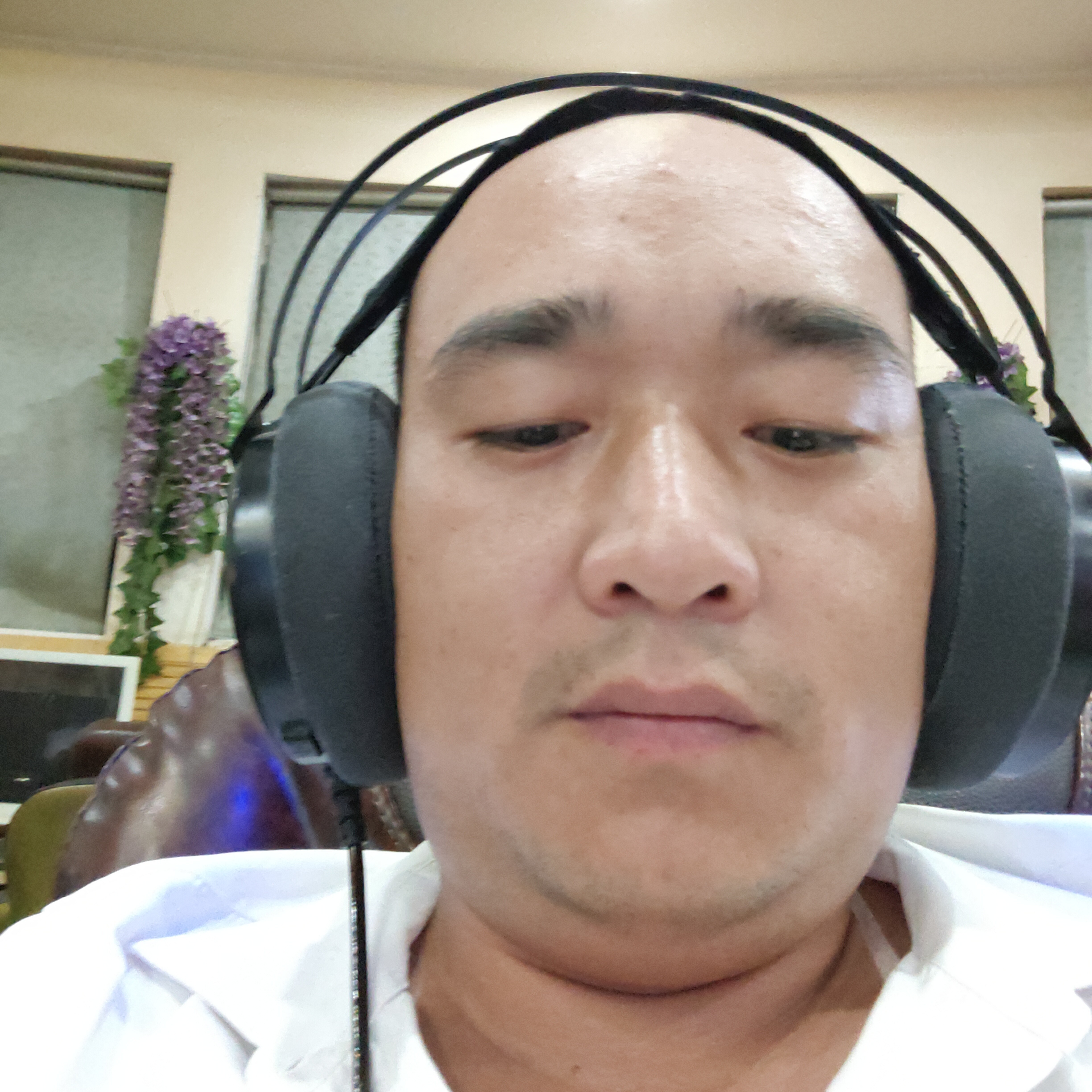 草丛回首贪玩的照片