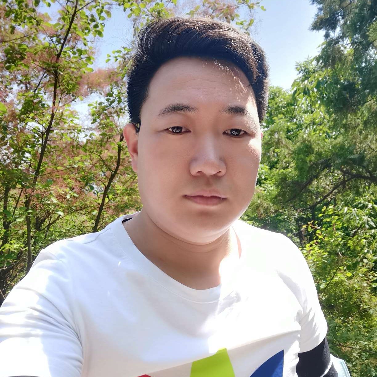金鱼回首烂漫的照片