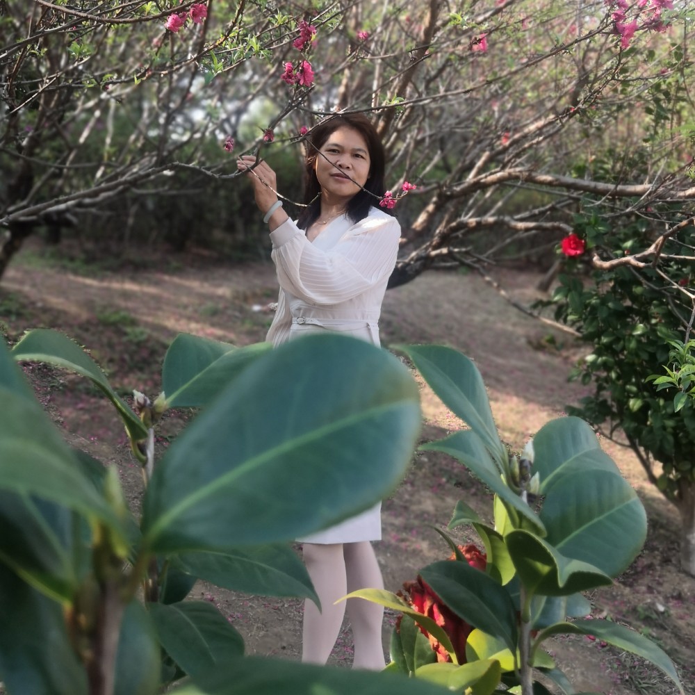 悟空给无情的照片