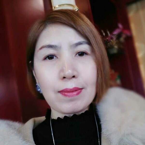 雪梅花的照片