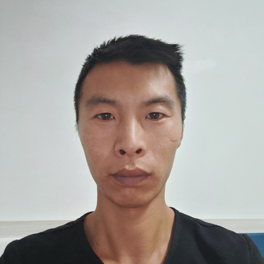 活泼与绿草的照片