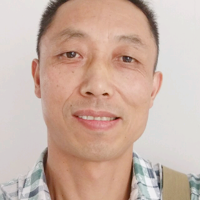 开心狗的照片