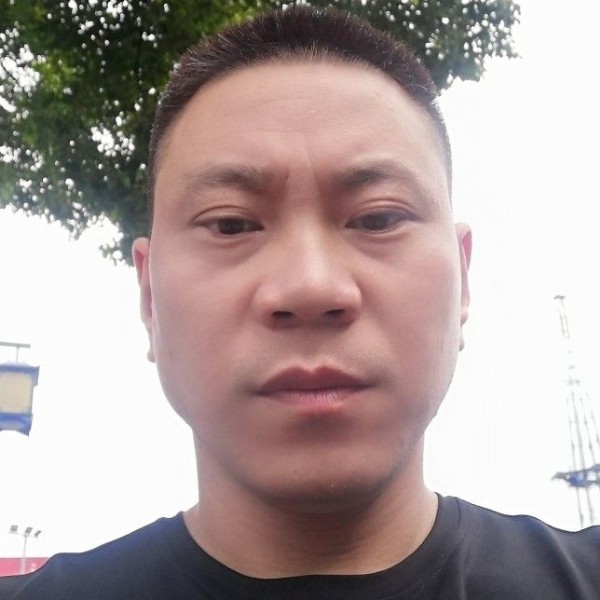 艳丽梅春的照片