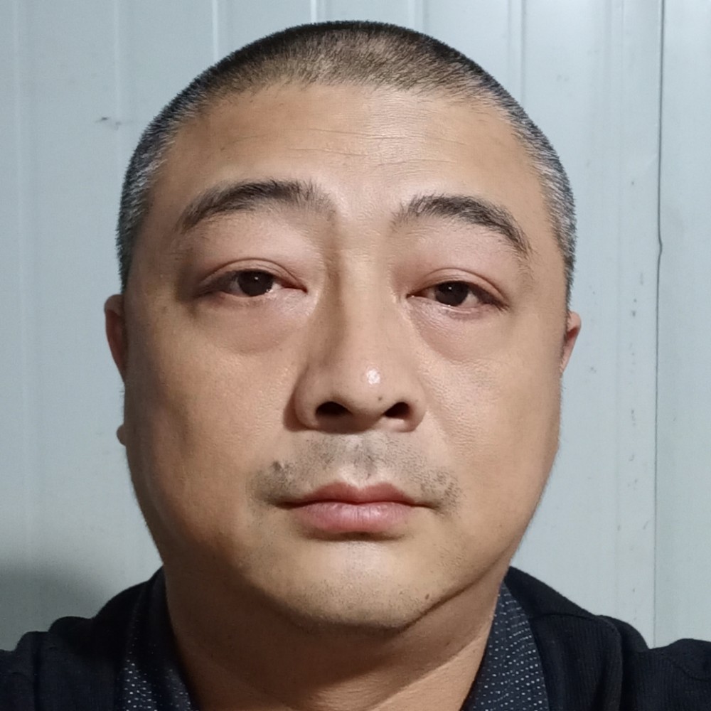 自然迎大树的照片
