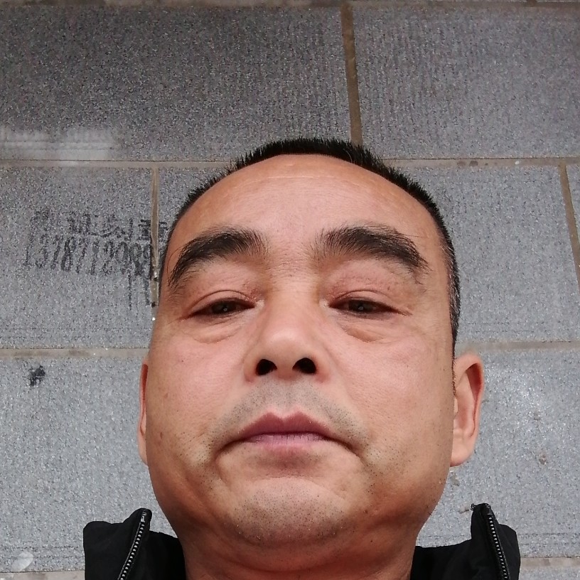 树叶的执着的照片