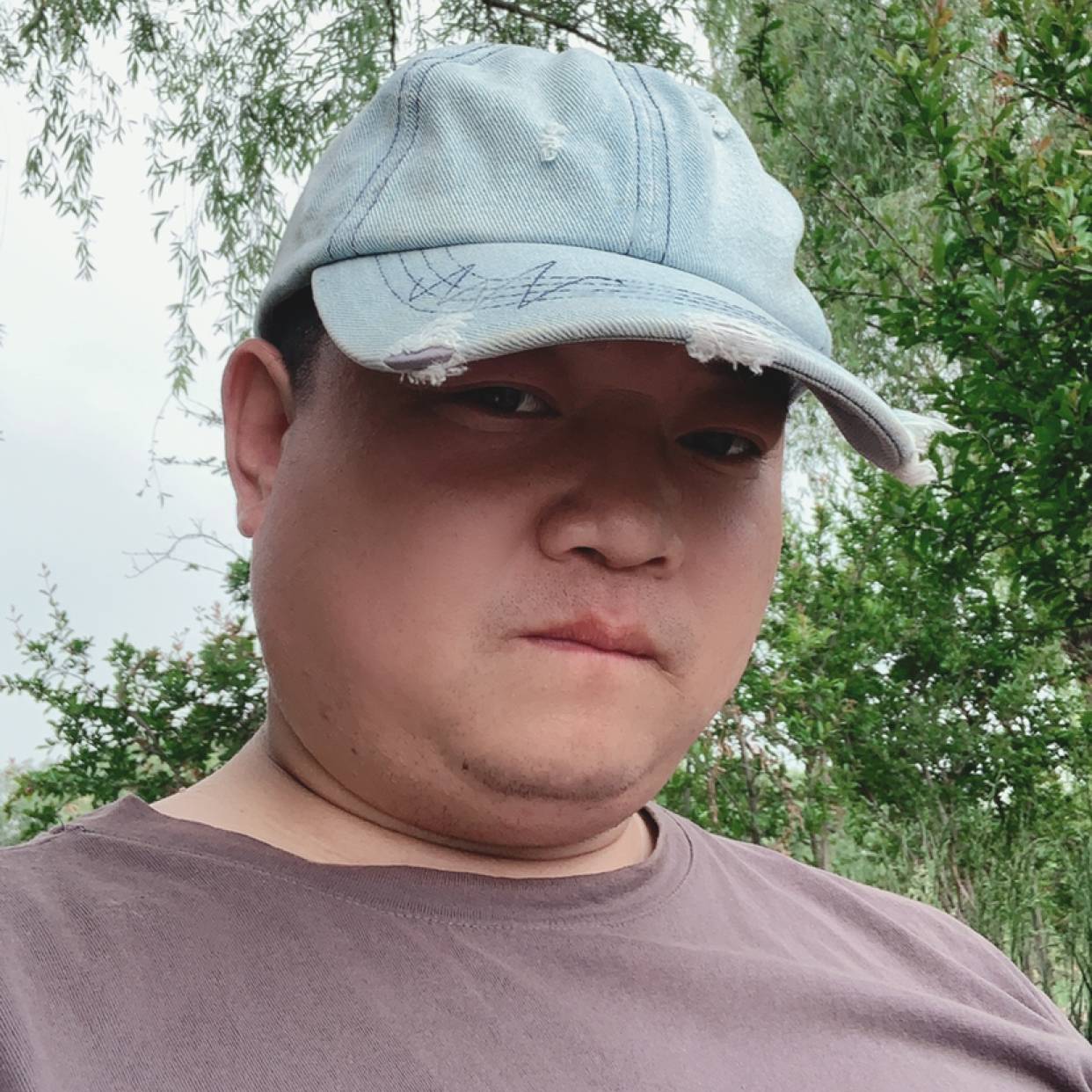 整不会了的照片