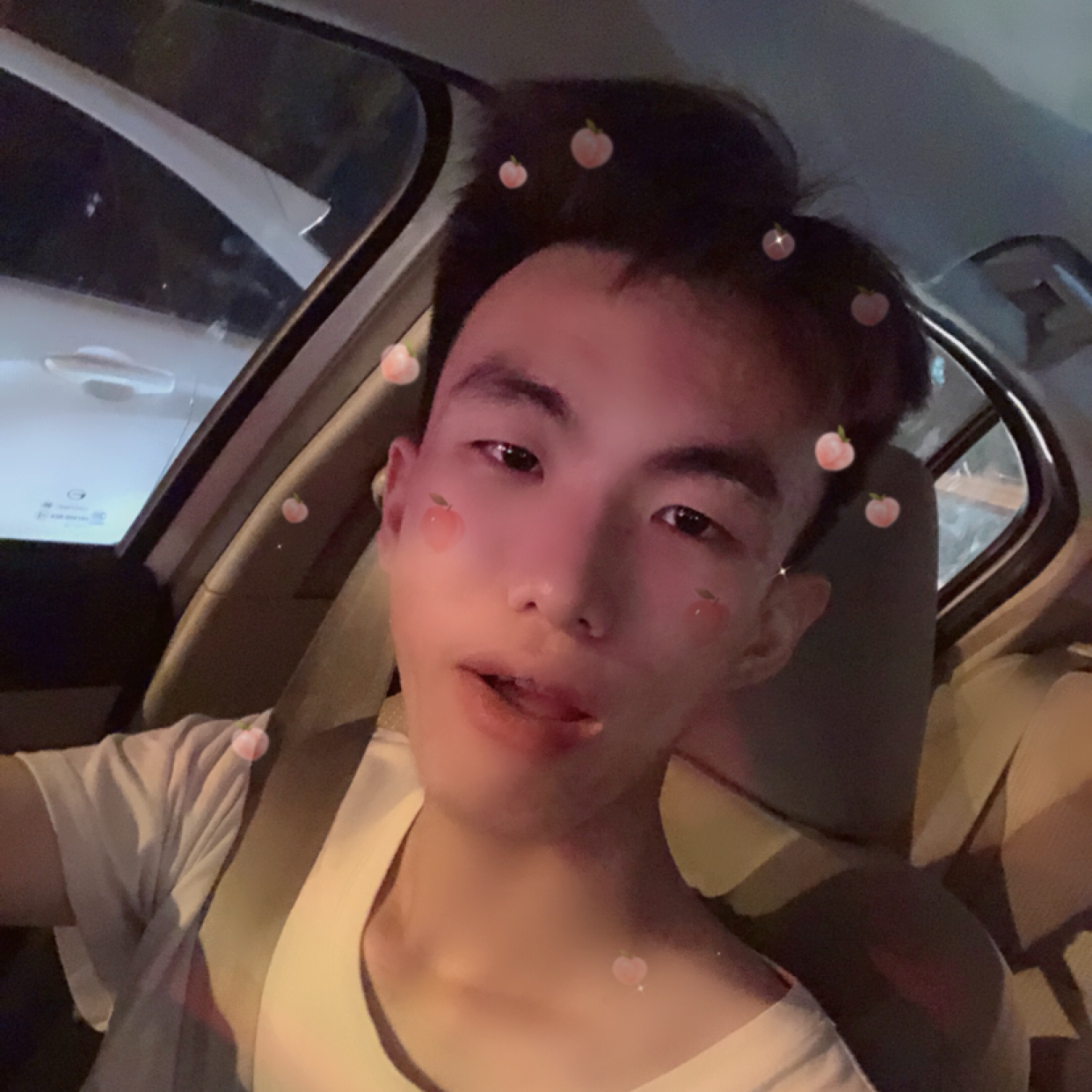 灰狼用含蓄的照片